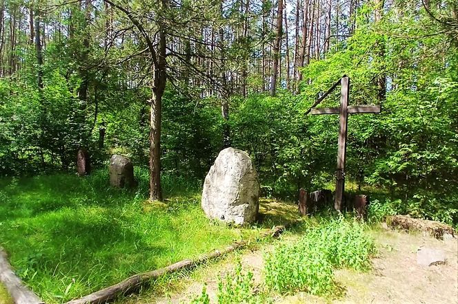 Leśny cmentarz rodu von Ramin
