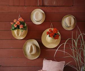 Pelargonie na 1001 sposobów - kapeluszowy kwietnik DIY