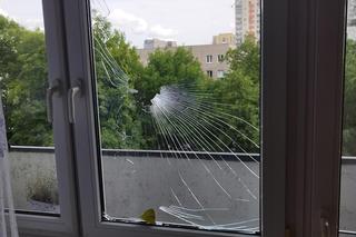 Wielkie drzewo runęło im na blok. „Widziałam, jak na mnie leci!”