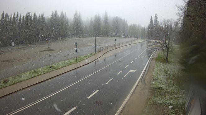 Śnieżyca w Małopolsce. Atak zimy w połowie maja!