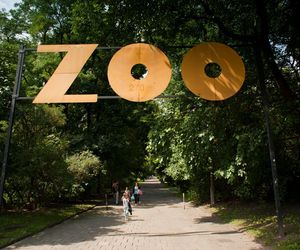 Warszawa Miejski Ogrod Zoologiczny