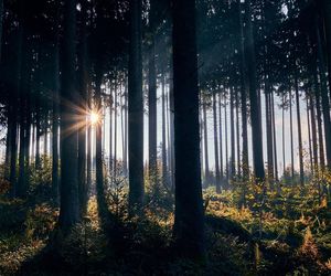 Na Lubelszczyźnie mimo burz w lasach może pojawić się pożar. O czym pamiętać w suche i wietrzne dni?