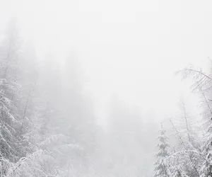 Śnieg i marznąca mżawka, miejscami mgły! W tych rejonach Polski dojdzie do zmiany pogody