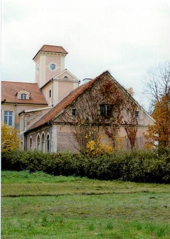 Chcą uratować zabytkowy pałac w powiecie ostródzkim. Potrzebna jest gigantyczna suma pieniędzy [ZDJĘCIA]