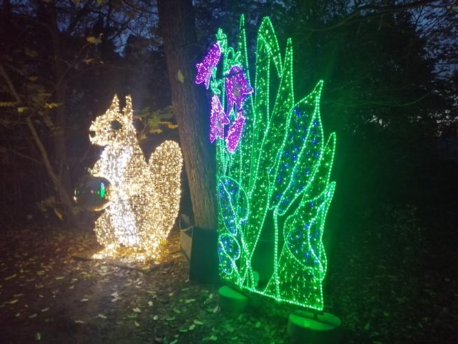 Park Iluminacji w Poznaniu