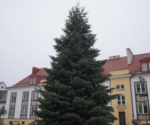 Tutaj pojawiły się świąteczne dekoracje w Białymstoku