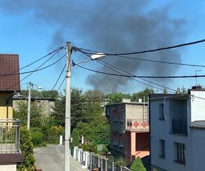 Czarny dym nad Śląskiem. Palą się nieużytki