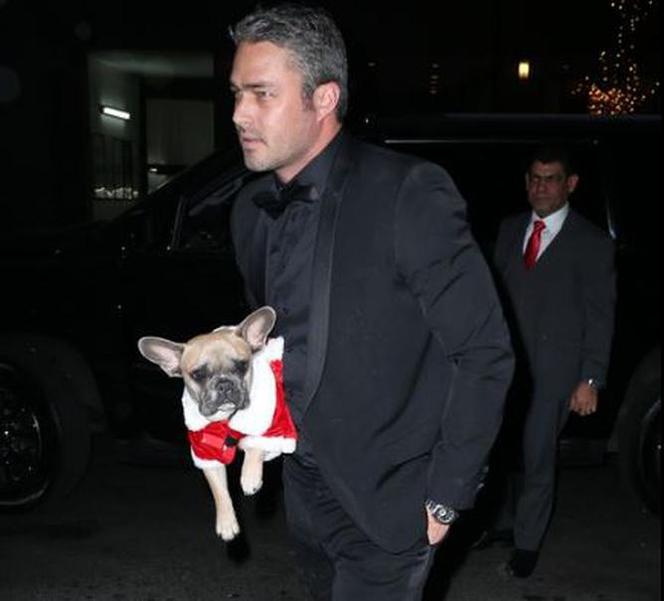 Lady Gaga i Taylor Kinney ubrali swoje psy w … stroje świętego Mikołaja
