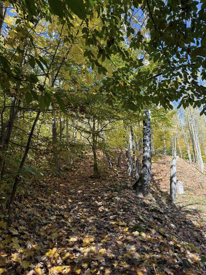 Szczyrk na jesiennych zdjęciach