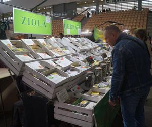 Giełda Minerałów, Biżuterii i Skamieniałości Geo Expo 2023 w Bydgoszczy. Tłumy w SISU Arenie [ZDJĘCIA]