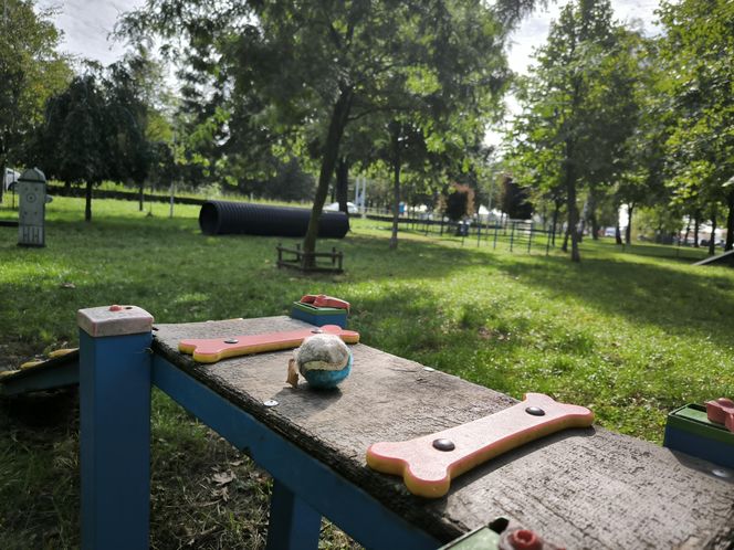 Wybieg dla psów przy Ćwiczni w Lesznie