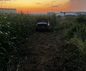 ​Zakończył jazdę... w polu kukurydzy