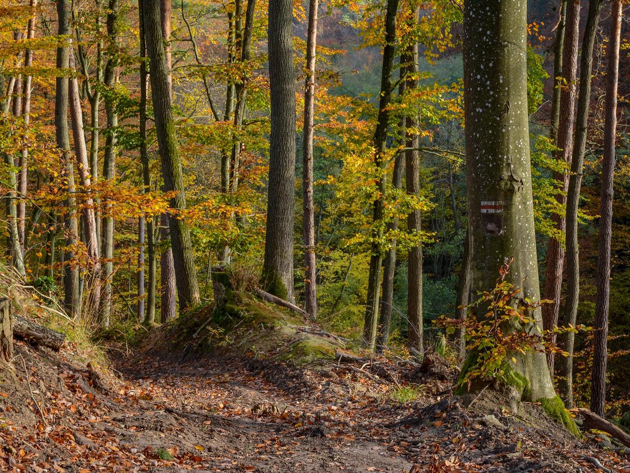 Akcja Majówka. Kilka rad przed wyruszeniem do lasu