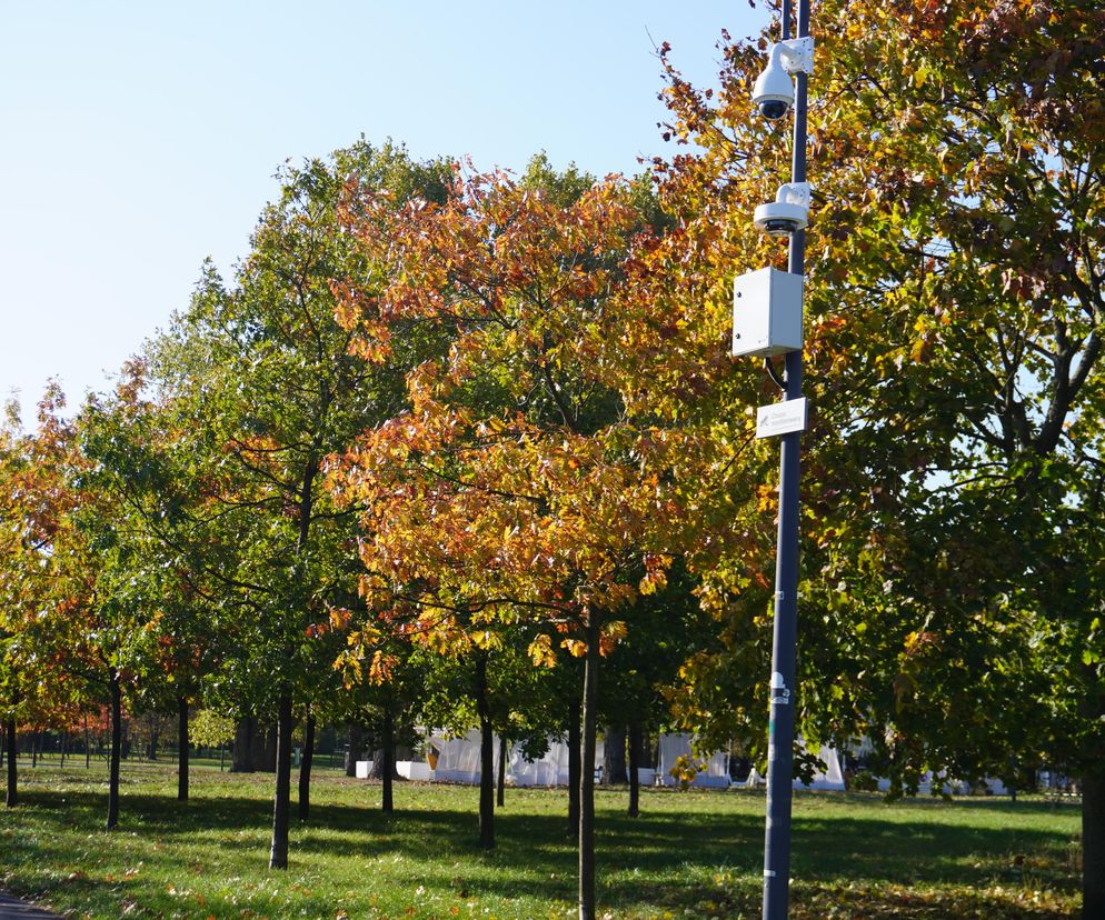 Park im. św. Jana Pawła II w jesiennych barwach