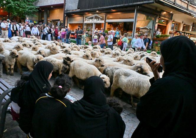 Arabowie szturmują Zakopane. Ten filmik to hit internetu. "Dosłownie tak to wygląda"