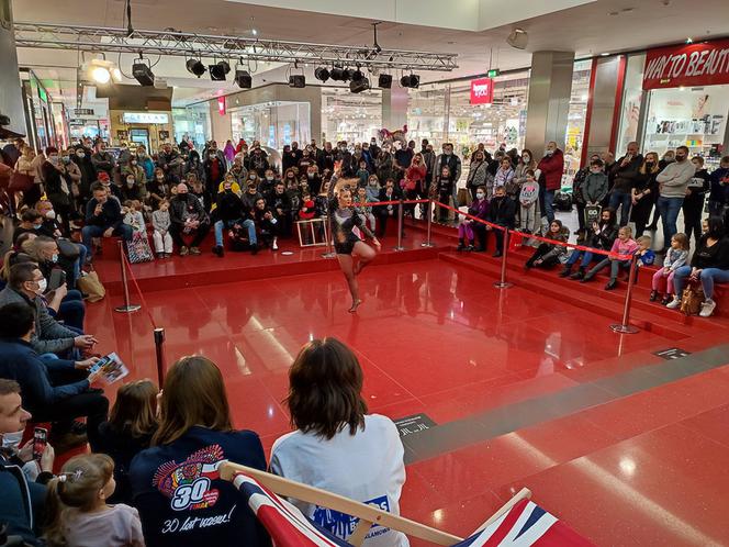 WOŚP w Kielcach. Hojni kielczanie licytowali w Galerii Echo