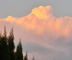 Światowy Dzień Fotografii. Z tych fotek są dumni nasi Czytelnicy! ZOBACZ