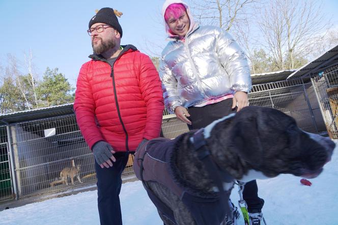 Skolim i Pawelec w schronisku 