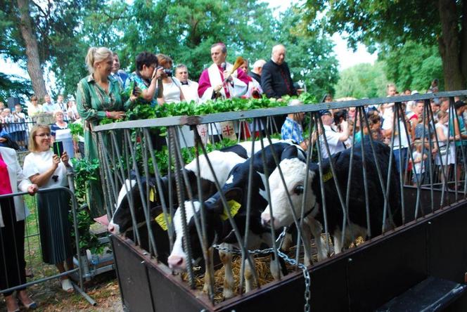 Mikstacka Arka Noego. Błogosławieństwo zwierząt podczas odpustu św. Rocha w Mikstacie