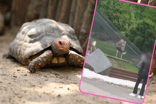 Nie upilnowali dzieci w ZOO. Beztroska tych rodziców poraża