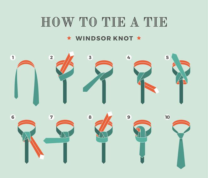 windsor knot
