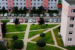 Wrocław ma krasnale, a Olsztyn… kolorowe trzepaki? Niezwykła inicjatywa ma zachęcać do spotkań