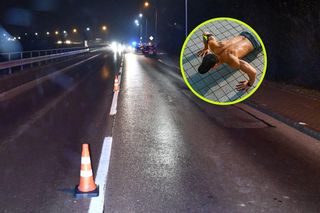 Kładł się na jezdni i robił pompki! Wtedy nadjechało auto