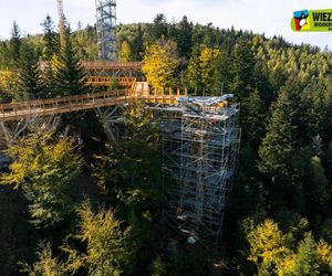 W Beskidach powstaje pierwsza wieża widokowa ze ścieżką w koronach drzew