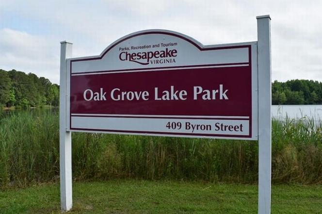 Najwieksza złota rybka świata! spełni największe życzenia?