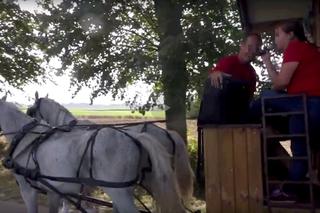 Poranione konie SKRZATUSZ