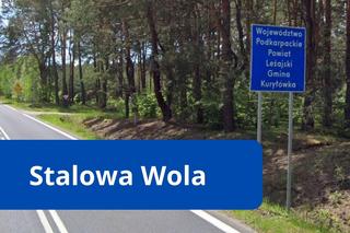 Podkarpacie najmniej zurbanizowanym regionem