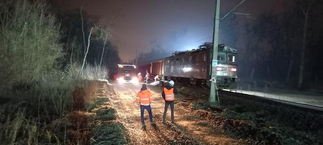 Lokomotywa zderzyła się ze składem towarowym
