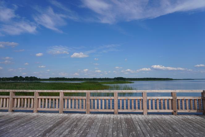 Podlaska Atlantyda, czyli Zalew Siemianówka i okolice