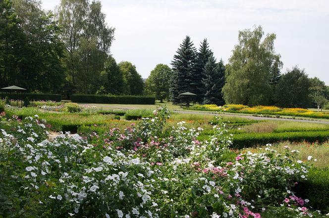 7 najładniejszych ogrodów botanicznych w Polsce. Kiedy je odwiedzić i gdzie są?