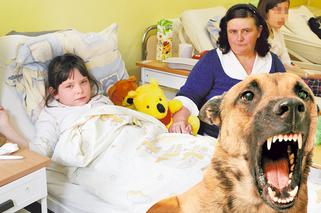 MIEŚCISKA: Pies ODGRYZŁ PIERŚ 8-letniej Karolince