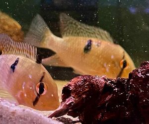 Rozmawiamy z Tomaszem Wiśniewskim, założycielem Aqua Dreams Bydgoszcz