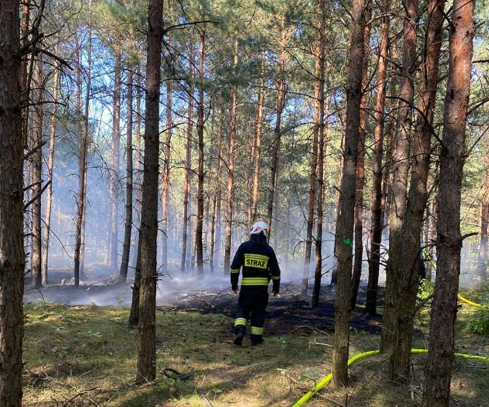 Pożar poszycia