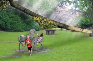 Szczawno-Zdrój. Wytną drzewa w parku