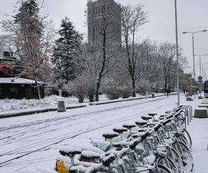 Stolica pod śniegiem 