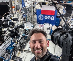 Sławosz Uznański-Wiśniewski