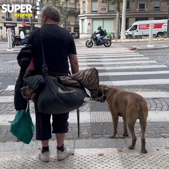 Paryż wstydzi się bezdomnych