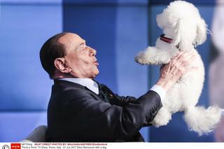 Król Midas, miliarder i skandalista. Berlusconi