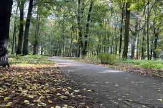 Park Kopernika w Gorzowie w jesiennej scenerii