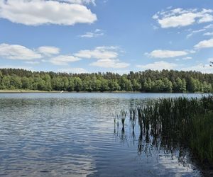 To jezioro w Olsztynie ma niezwykle czystą wodę. Jest kilka dzikich plaż, które świecą pustkami