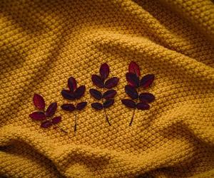 Aparaty w dłoń! Trwają zgłoszenia do kolejnego konkursu 