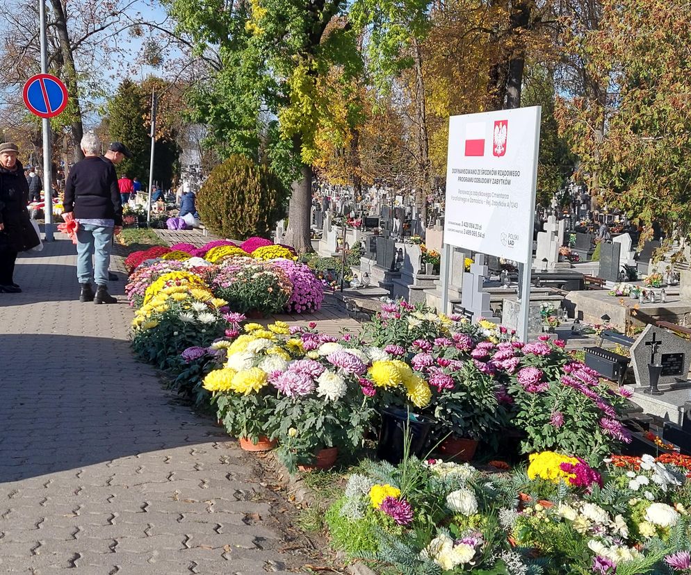 Przygotowania do Wszystkich Świętych Zamość