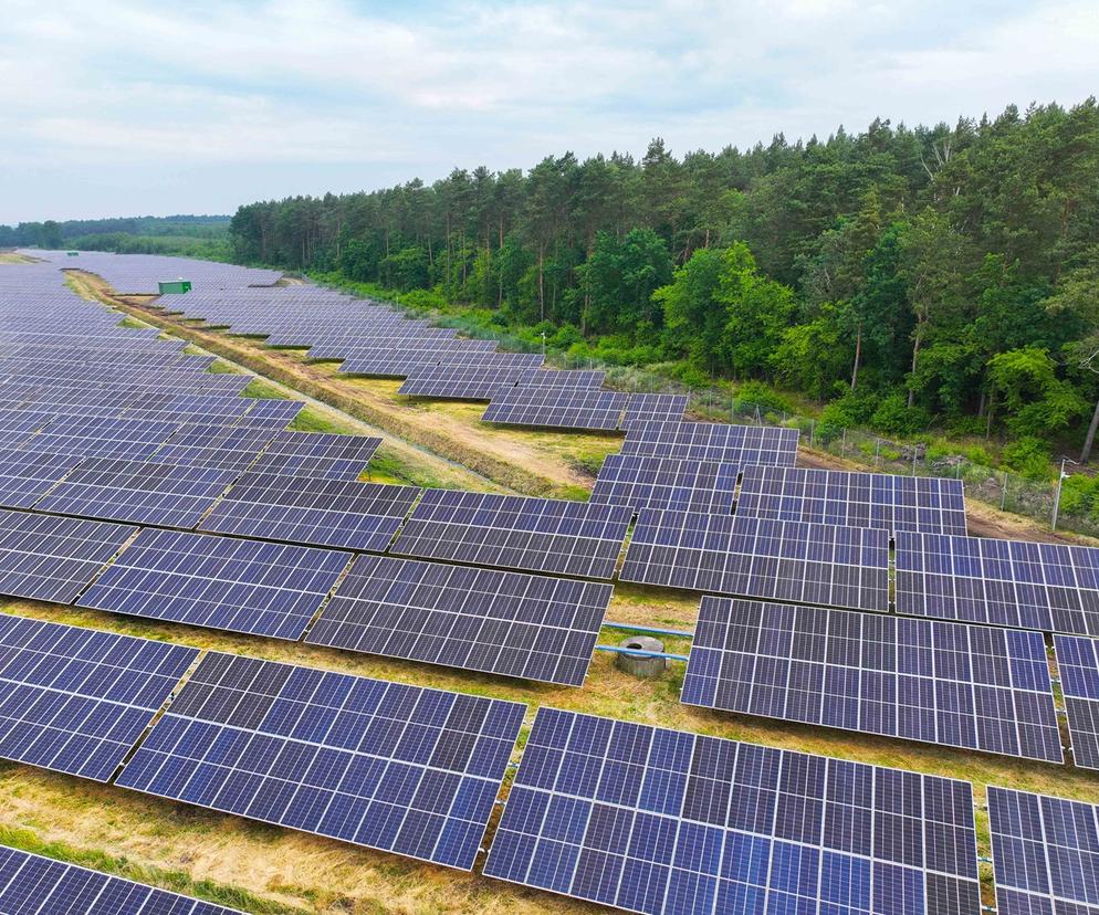 Diecezja Płocka producentem prądu? Jeszcze jak! W mieście powstała farma za grube miliony