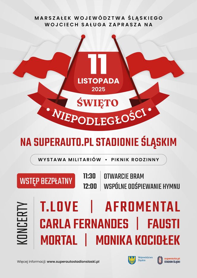 Wielkie świętowanie 11 listopada na Stadionie Śląskim. Wystąpią T.Love i Afromental