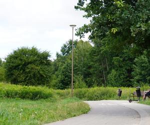 Wakacyjny spacer pod kładką nad wąwozem na Czubach. To jedno z najbardziej zielonych miejsc w Lublinie!