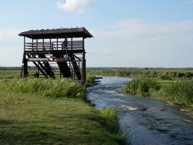 Narwiański Park Narodowy